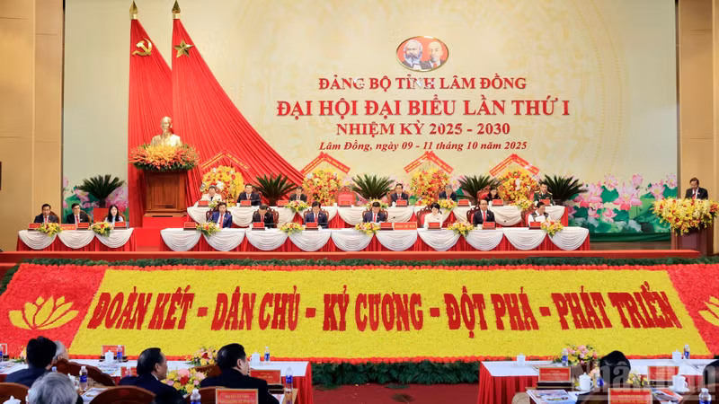 越南共产党林同省第一次代表大会（2025-2030年任期）于10月11日圆满闭幕。（梅文宝 摄）
