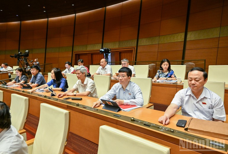 国会代表表决通过《越南国籍法》若干条款修改补充法。（维玲 摄）