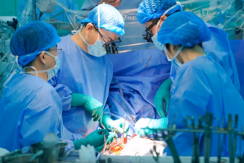 胡志明市医药大学附属医院医生进行器官移植手术。（图片来源：越通社）