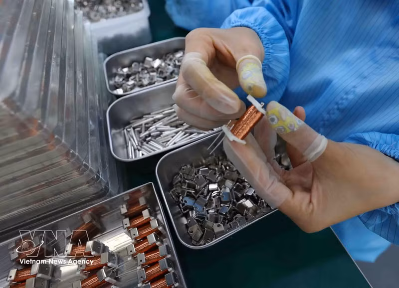 附图。（图片来源：越通社）