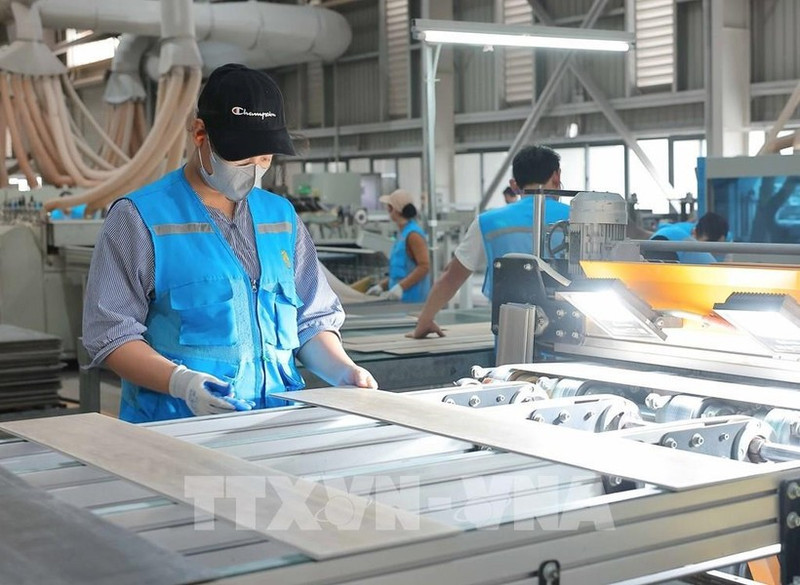 位于广安东梅工业园的Lioncore Vietnam Industrial公司的生产厂。（图片来源：越通社）