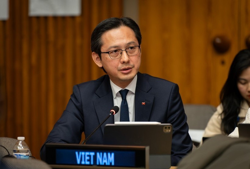 越南常驻联合国代表团团长、2026年《不扩散核武器条约》审议大会指定主席杜雄越大使。（图片来源：越通社）