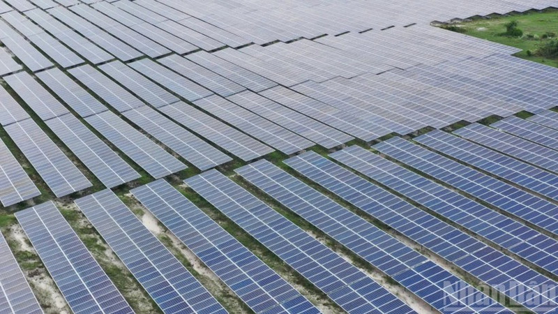 在越南林同省峰富太阳能发电场（Solarcom）安装的太阳能电池板。（文维 摄）