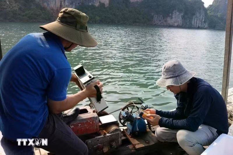 研究小组在下龙湾和陆 门湾采集海水样本。（图片来源：越通社）