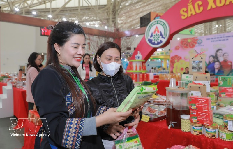 谅山省展位。（图片来源：越通社）