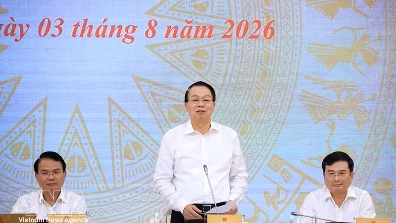 越南财政部副部长阮德芝回答记者提问。（图片来源：越通社）