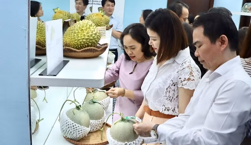 展览上展出的所有水果产品都带有二维码，用于追溯产地。（图片来源：越通社）