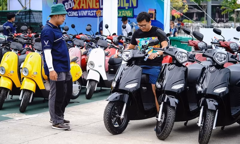 附图。（图片来源：越南快讯网）