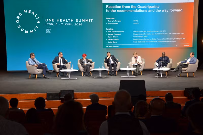 “同一健康”峰会（One Health Summit）框架内的一场研讨会。（图片来源：越通社）