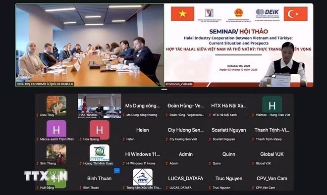 题为“越南与土耳其清真合作：现状与前景”的线上研讨会。（图片来源：越通社）