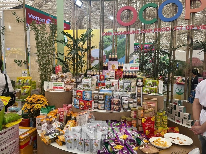 附图。（图片来源：bnews.vn）