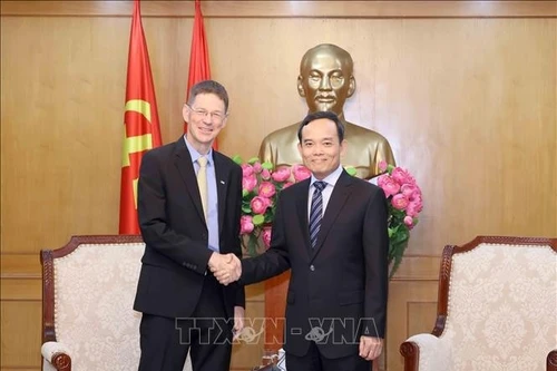中央政策战略委员会主任陈流光会见AES(越南)公司董事长。