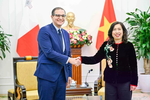 越南外交部副部长黎氏秋姮同马耳他外交与旅游部常务副部长举行会谈。