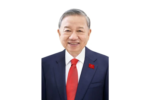 越南共产党第十四届中央委员会总书记苏林。