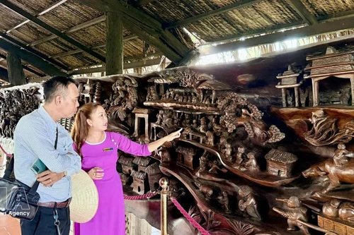 游客参观一幅长近25米、重约20吨的巨型流木画作。该画作被认为越南最为精工细作的作品之一。（图片来源：越通社）