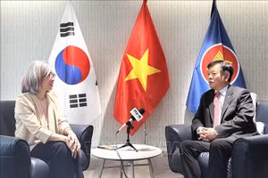 越南驻韩国大使武胡接受越通社记者采访。（图片来源：越通社）