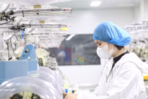 外国直接投资企业群体期待，不断深化的制度革新将营造一个公开透明、持续稳定且更具竞争优势的法律环境。（图片来源： 越通社）