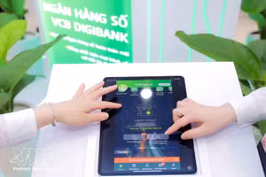 附图。（图片来源：越通社）