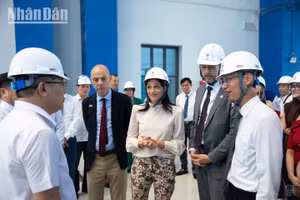 法国代表团考察和平水电站扩建工程。