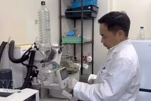 广岛大学 IDEC 研究院农业与生物技术专业陈登春教授。（图片来源：越通社）