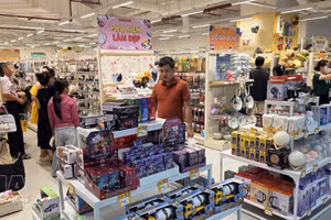 附图。（图片来源：越通社）