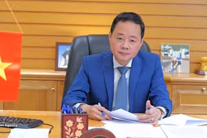 越南科学技术翰林院院长陈鸿泰教授。(图片来源：越通社）