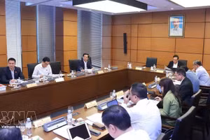 胡志明市国会代表团分组讨论。（图片来源：越通社）