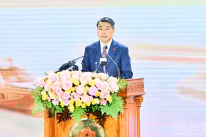 越南政府总理黎明兴在会上致辞。（图片来源：越通社）