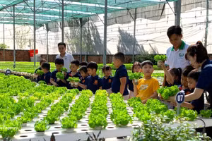 在胡志明市端玉农业合作社参观高科技蔬菜种植模式。（图片来源：越通社）