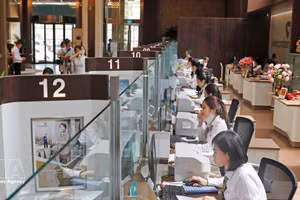 附图。（图片来源：越通社）