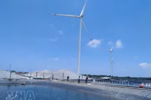 永隆省正在开发高科技虾类养殖和风电项目。（图片来源：越通社）