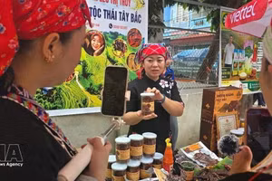大力应用电商拓展少数民族地区特产市场。（图片来源：越通社）