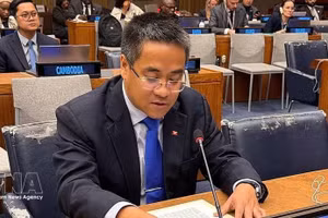 越南常驻联合国代表团副团长阮海流公使代表东盟在联合国大会第四委员会就原子辐射影响发言。（图片来源：越通社）