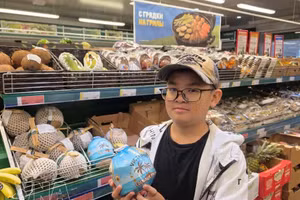 农产品出口在经济中起着作用日益重要，年均出口额达数百亿美元。（图片来源：越通社）