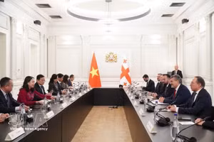 格鲁吉亚总统米哈伊尔·卡韦拉什维利会见越南国家副主席武氏映春。（图片来源：越通社）
