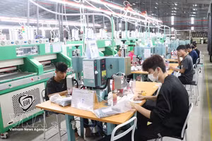 工人在工业流水线上执行各道生产工序，展现了企业日益提升的生产能力。（图片来源：越通社）