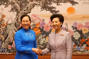 越南妇女联合会主席黎氏水与中华全国妇女联合会主席谭贻琴。（图片来源：越通社）