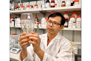 专家建议越南以遗传资源和新技术推动植物生物技术突破。（图片来源：越通社）