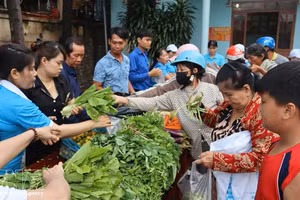困难群众在“零越盾展位”上免费挑选新鲜蔬菜和生活必需品。（图片来源：越通社）