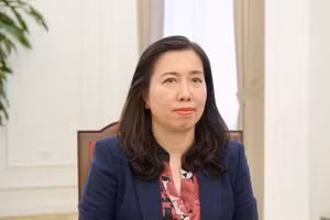 越南外交部副部长黎氏秋姮。（越南外交部供图）