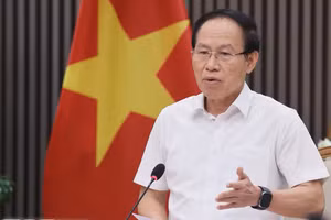 越南政府副总理黎进珠发表讲话。（图片来源：越通社）