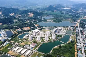 和乐都市区。（成达 摄）