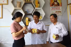 黎禄君公司的产品已荣获OCOP三星级认证，并成功出口至韩国市场。（图片来源：越通社）