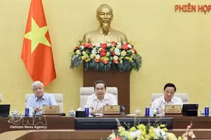 越南国会主席陈青敏发表讲话。（图片来源：越通社）
