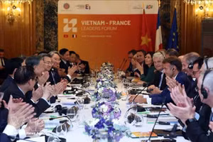 越共中央总书记、国家主席苏林与法国总统马克龙会见两国部分顶尖集团及企业领导人。（图片来源：越通社）