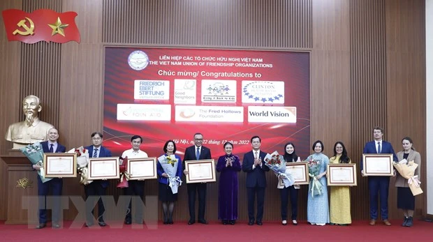 越南友好组织联合会主席阮芳娥大使和外交部副部长何金玉向各外国非政府组织颁发政府总理奖状。（图片来源：越通社）