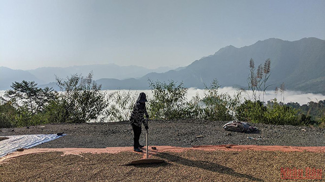 在層怪山口上猎云（组图） ảnh 3