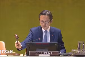 越南常驻联合国代表团团长杜雄越大使宣布会议闭幕。（图片来源：越通社）