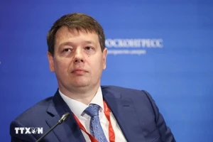 俄罗斯联邦经济发展部副部长伊里切夫·弗拉基米尔·叶夫根尼耶维奇。（图片来源：越通社）