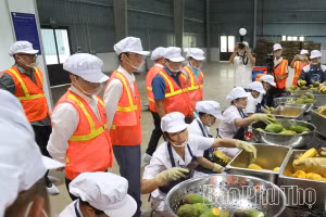 富寿省一现代化农产品加工厂落成。（图片来源：富寿报）